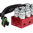 Load image into Gallery viewer, Ridetech RidePro E5 Air Ride Suspension Control System 3 Gallon Single Compressor 1/4in Valves - Back View