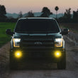 Load image into Gallery viewer, Rigid Industries D-Series SAE Fog Yellow/White Pair - Back View