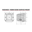 Load image into Gallery viewer, Rigid Industries Radiance+ Scene RGBW Surface Mount - Pair - Main Product View