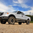 Load image into Gallery viewer, Rough Country 2.5 Inch Lift Kit | N3 Struts/N3 | Ford F-150 2WD (2004-2008) 57032 - Back View