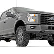 Load image into Gallery viewer, Rough Country 4 Inch Lift Kit | N3 Struts | Ford F-150 4WD (2015-2020) 55531 - Side View