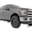 Load image into Gallery viewer, Rough Country BA2 Running Board | Side Step Bars | Ford F-150/F-250/F-350 2WD/4WD (15-26) 41010A - Side View