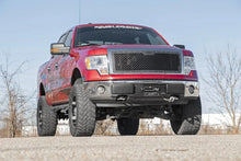 Load image into Gallery viewer, Rough Country Mesh Grille | Ford F-150 2WD/4WD (2009-2014) 70229 - Back View