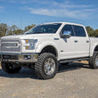 Load image into Gallery viewer, Rough Country Oval Nerf Step | Crew Cab | Black | Ford F-150/F-150 Lightning/Raptor  (15-24) 21005 - Additional View 5