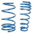 Load image into Gallery viewer, Roush 2005-2014 Ford Mustang V6/GT Lowering Spring Kit