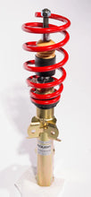 Load image into Gallery viewer, Roush 2015-2023 Ford Mustang 5.0L Single Adjustable Coil Over Kit (Excl. MagneRide Suspension) - Detail View