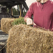 Load image into Gallery viewer, Rugged Ridge C3 Cargo Cover W/O Subwoofer 07-18 Jeep Wrangler JKU 4 Door - Back View