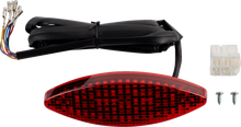 Load image into Gallery viewer, Russ Wernimont Designs Cat Eye Light RWD-300 - Main Product View