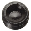 Load image into Gallery viewer, Russell Performance 1/4in Allen Socket Pipe Plug (Black) - Side View