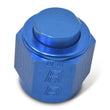 Load image into Gallery viewer, Russell Performance -16 AN Flare Cap (Blue) - Additional View 9