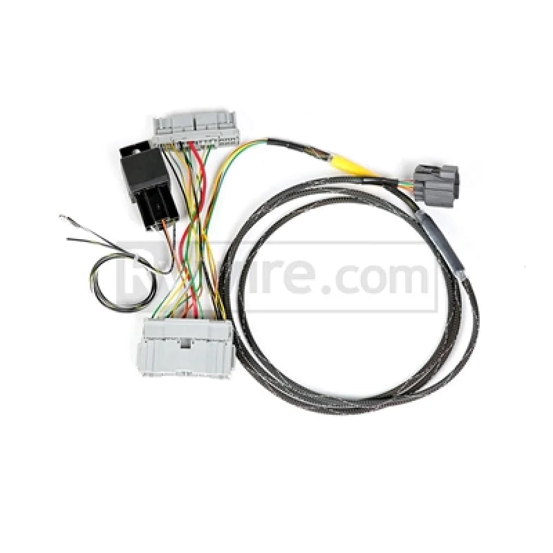 Rywire 01-05 Honda Civic K-Series Conversion Chassis Adapter Harness - Side View