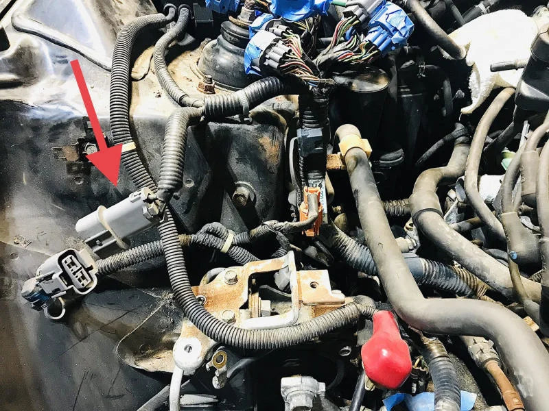 Rywire 92-95 Honda Prelude AEM Infinity Chassis Adapter (Must Send Rywire 2-Pin Core Connector) - Side View