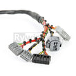 Load image into Gallery viewer, Rywire Honda B-Series Mil-Spec Eng Harness w/OBD2 Dist/Inj/Alt &amp; OBD1 92-95 ECU Plugs (Adapter Req) - Side View