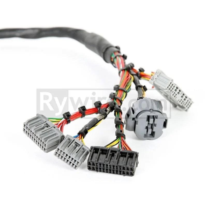 Rywire Honda B-Series Mil-Spec Eng Harness w/OBD2 Dist/Inj/Alt & OBD1 92-95 ECU Plugs (Adapter Req) - Side View
