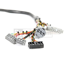 Load image into Gallery viewer, Rywire Honda B/D-Series Mil-Spec Eng Harness w/OBD1 Dist/Inj/Alternator &amp; 92-95 Plugs (Adapter Req) - Main Product View