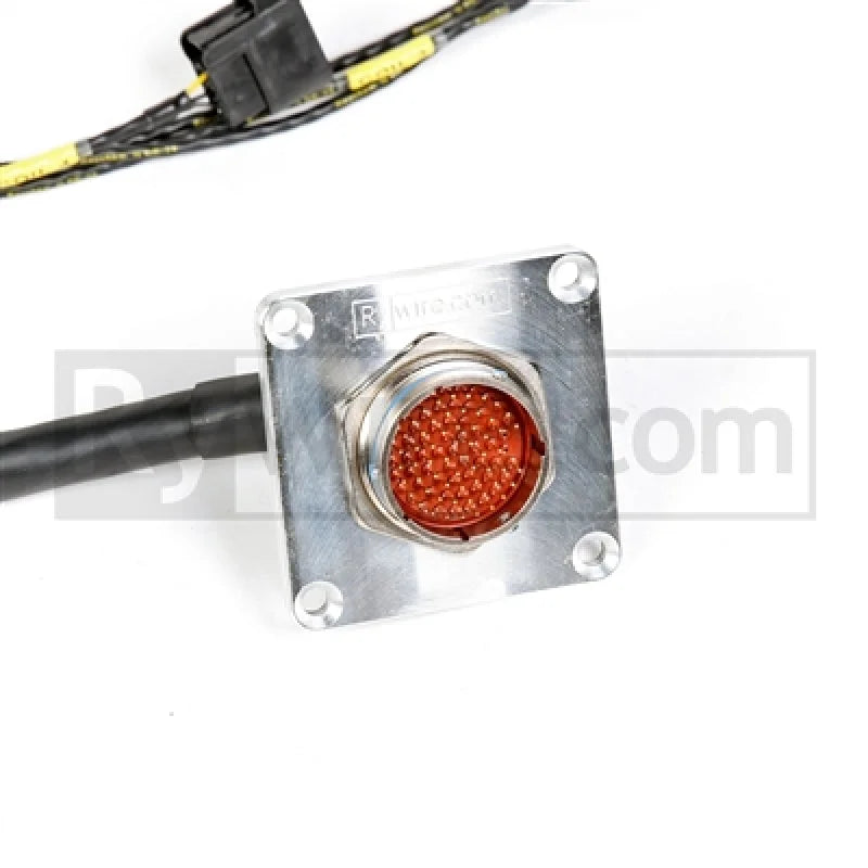 Rywire Honda F/H-Series Mil-Spec Eng Harn w/OBD1 Dist/Inj/Alt & 92-95 Plugs (Adapter/Plug Color Req) - Side View