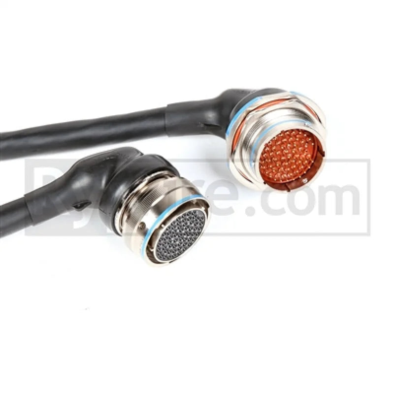 Rywire Honda F/H-Series Mil-Spec Eng Harn w/OBD1 Dist/Inj/Alt & 92-95 Plugs (Adapter/Plug Color Req) - Detail View