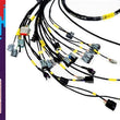 Load image into Gallery viewer, Rywire Honda K-Series Naturally Aspirated w/LINK G4 ECU Engine Harness (w/4 Inj / No EMAP/Boost)