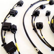 Load image into Gallery viewer, Rywire Honda S2000 AP1/AP2 (Early) Mil-Spec Engine Harness w/OEM Coils/Injector/ECU Plugs - Side View