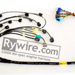 Load image into Gallery viewer, Rywire Honda S2000 AP1/AP2 (Early) Mil-Spec Engine Harness w/OEM Coils/Injector/ECU Plugs - Detail View