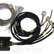 Load image into Gallery viewer, Rywire P14 PDM Universal Chassis Harness Kit (Req Flying Lead/Switch Panel/CAN/Mate Connector)