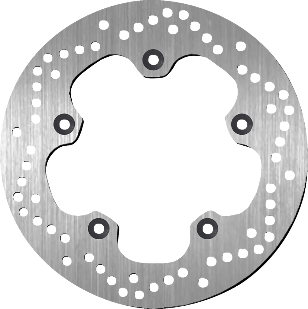 SBS Brake Rotor - Main Product View