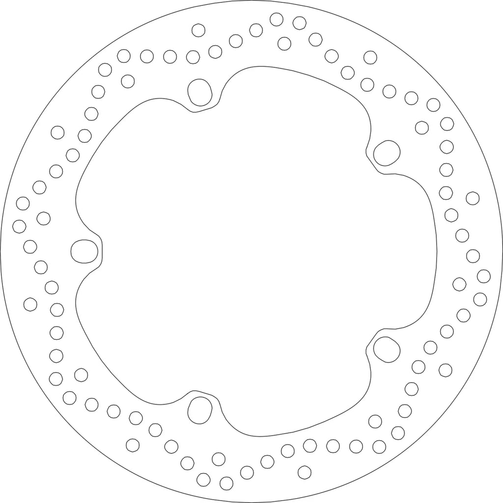 SBS Brake Rotor - Side View