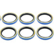 Load image into Gallery viewer, SCE Gaskets BBC Timing Cover Seals 10-Pack 1302-10