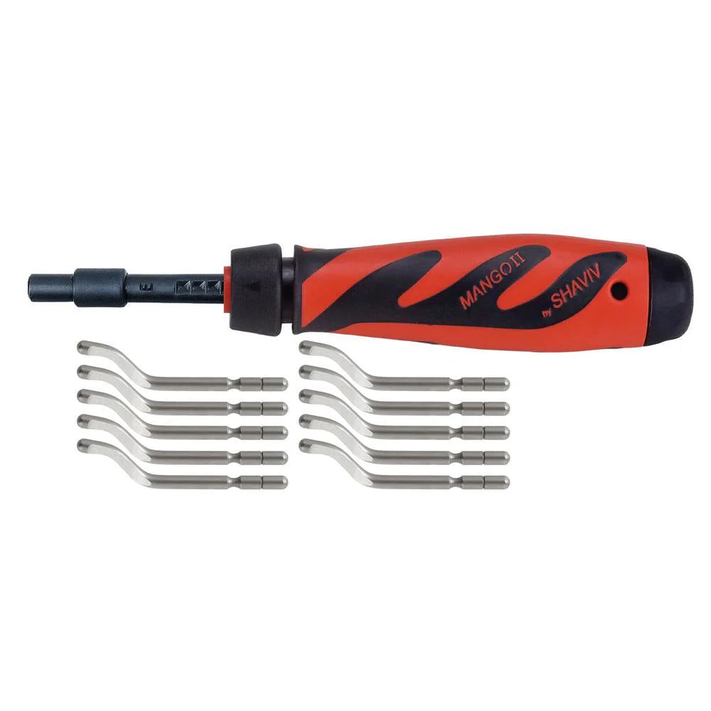 SHAVIV Bonus Pack Handle Plus 10 E100S Blades 29254