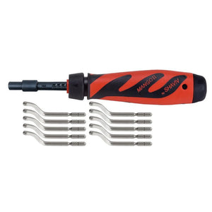 SHAVIV Bonus Pack Handle Plus 10 E100S Blades 29254