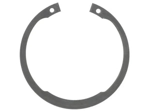 SKF Snap Ring CIR109