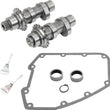 Load image into Gallery viewer, S&amp;S Cycle 07-17 BT 585C Chain Drive Camshaft Kit - Main Product View