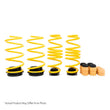 Load image into Gallery viewer, ST Adjustable Lowering Springs 2015+ Ford Mustang (S-550) w/o Electronic Suspension - Back View