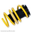 Load image into Gallery viewer, ST Adjustable Lowering Springs BMW F31 3 Series Touring xDrive AWD - Back View