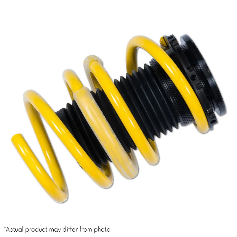 ST Adjustable Lowering Springs BMW F31 3 Series Touring xDrive AWD - Back View