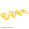 Load image into Gallery viewer, ST Muscle Car Springs Chevrolet Camaro Nova / Pontiac Firebird / Omega Ventura - Side View