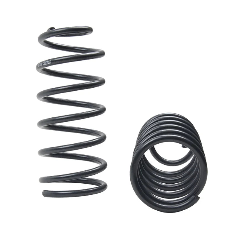 ST Muscle Car Springs Chevrolet Camaro / Pontiac Firebird - Side View
