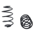 Load image into Gallery viewer, ST Muscle Car Springs Chevrolet Chevelle Malibu Monte Carlo - Main Product View