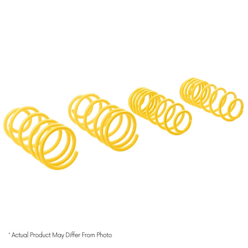 ST Muscle Car Springs Chevrolet Malibu Monte Carlo / Buick Skylark Regal / Oldsmobile Lemans Apollo - Side View