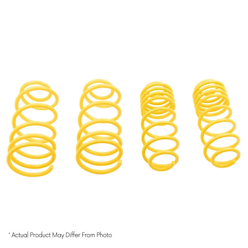 ST Muscle Car Springs Chevrolet Malibu Monte Carlo / Buick Skylark Regal / Oldsmobile Lemans Apollo - Installation View