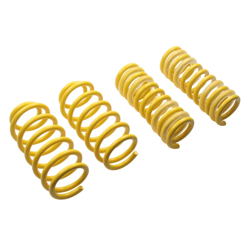 ST Sport-tech Lowering Springs Chrysler 300C 2WD / Dodge Charger Challenger Magnum - Side View