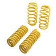 Load image into Gallery viewer, ST Sport-tech Lowering Springs Chrysler 300C 2WD / Dodge Charger Magnum - Side View