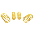 Load image into Gallery viewer, ST Sport-tech Lowering Springs Ford Mustang 5th gen. - Main Product View