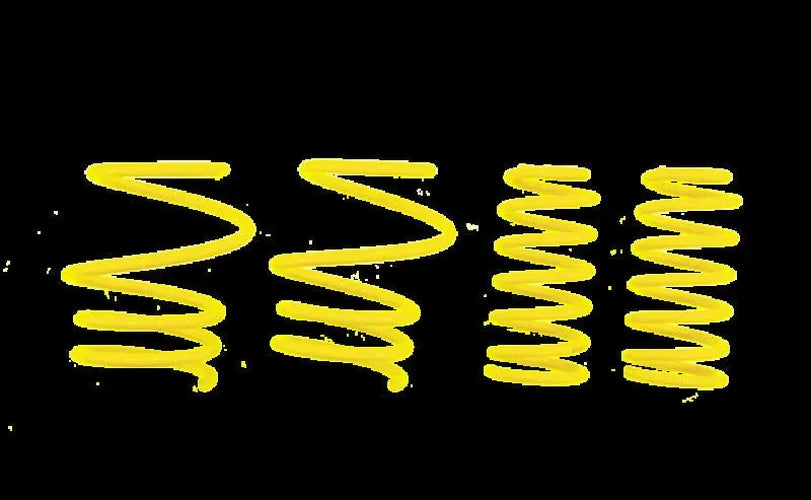 ST Sport-tech Lowering Springs Mini R50 (incl. Conv./Cooper/Cooper S) - Side View