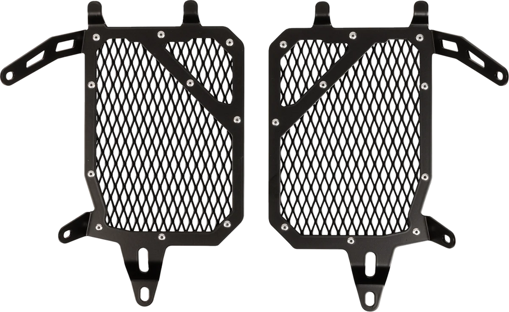 SW-MOTECH Radiator Guard - Black - BMW KLS.07.870.10000/B - Main Product View