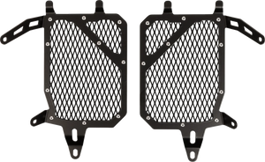 SW-MOTECH Radiator Guard - Black - BMW KLS.07.870.10000/B - Main Product View