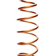 Load image into Gallery viewer, SWIFT SPRINGS Coil-Over Spring 16in x 5in x 125lb 2.5in ID 160-2550-125 BP