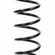 Load image into Gallery viewer, SWIFT SPRINGS Coilover Spring 12in x 3.0in 120-300-125