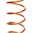 Load image into Gallery viewer, SWIFT SPRINGS Conventional Spring 13in x 5in x 200# 130-500-200 BP