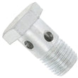 Load image into Gallery viewer, Saab Banjo Bolt 32-022-010